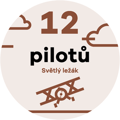 12 pilotů