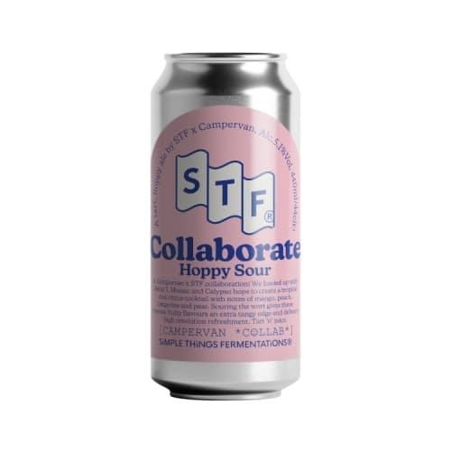 Hoppy Sour - STF X Campervan