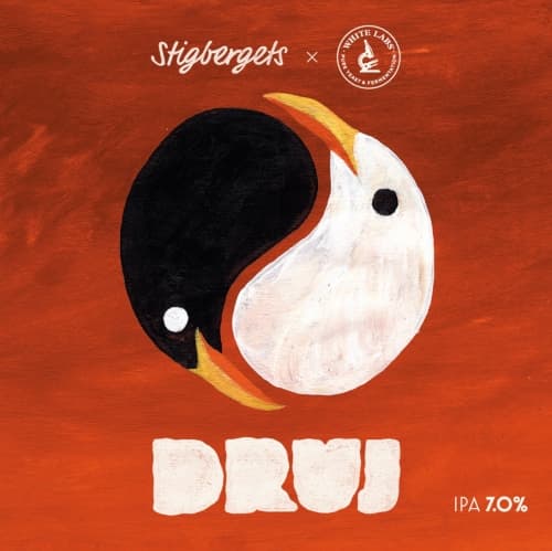 Druj