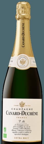 P181 Extra-Brut Champagne