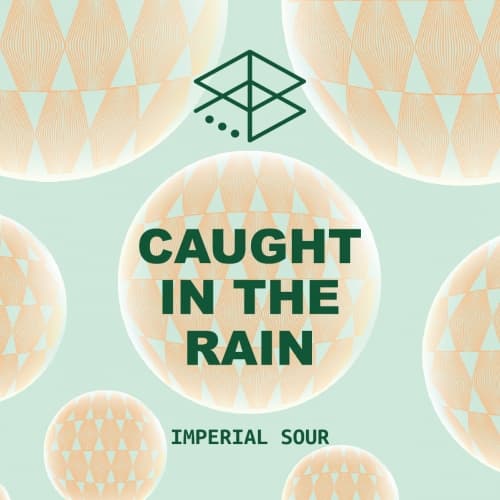 Caught In the Rain