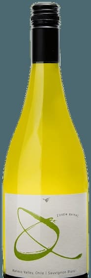 Little Quino Sauvignon Blanc