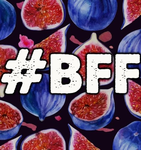 BFF Big Fat Fig Belgium Style Ale