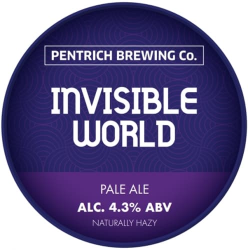 Invisible World