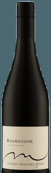 Bourgogne Pinot Noir Rouge