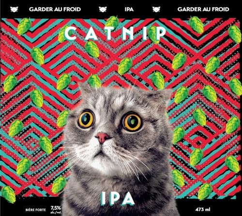 Catnip