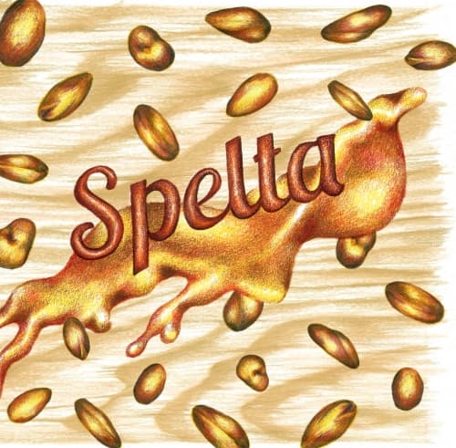 Spelta
