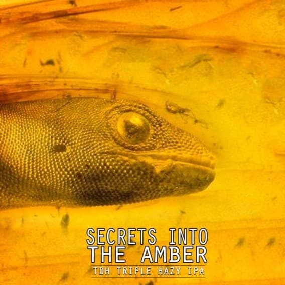 Secrets Into the Amber