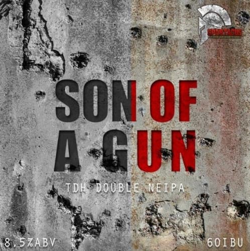 Son of a Gun