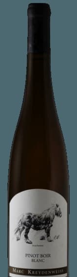 Pinot Boir Blanc