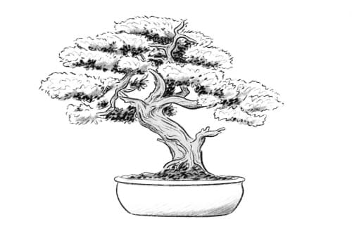 Nintai