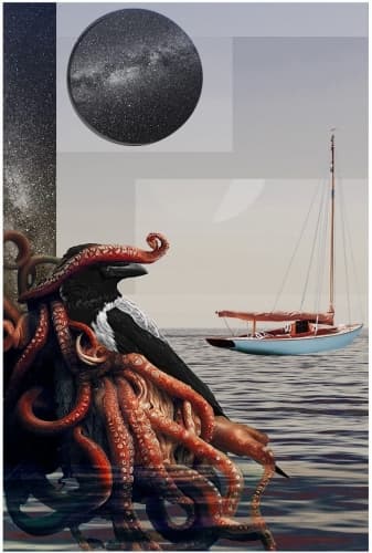 Find the Kraken