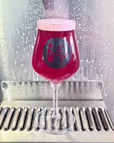 Skyrcake Gose To Metz