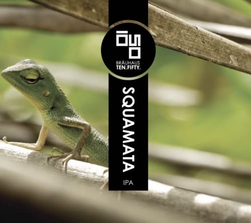 Squamata