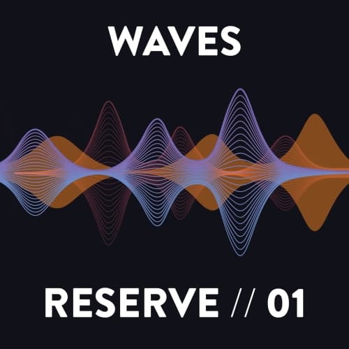 WAVES Reserve 01 (Brewskival Only)
