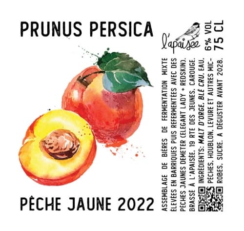 Prunus Persica - Pêche Jaune 2022