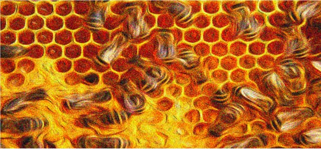 Peckham's Honeydew Cyser 2020