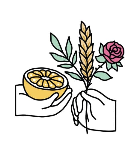 Bread (2018)