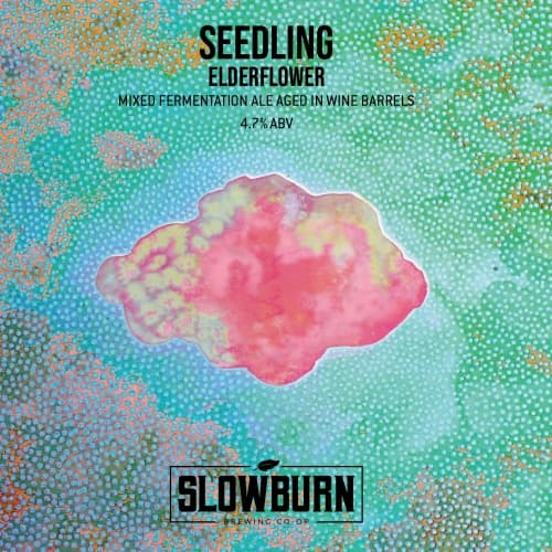 Seedling Elderflower