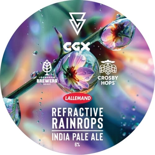 Refractive Raindrops