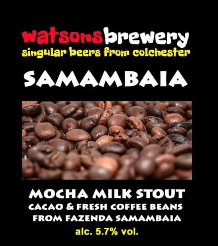 Samambaia