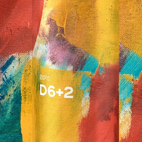 D6+2