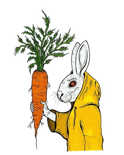 Funny Bunny Is My Name