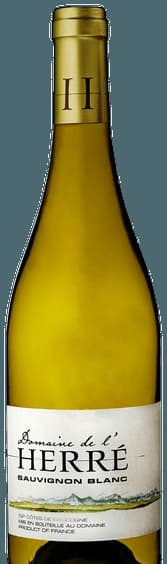 Sauvignon Blanc