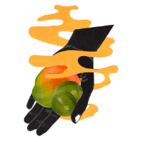 Fruit Salad Days Mango & Lime
