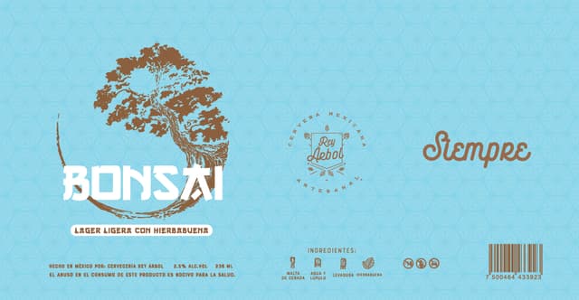Bonsai (con Hierbabuena)