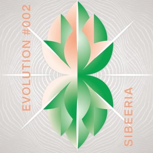 Evolution #002 (NŠH90)