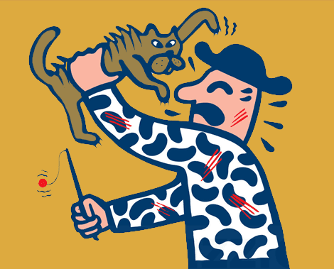 Awful Gato