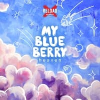 My Blueberry Heaven