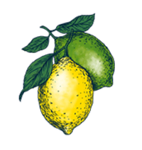BON V!V Lemon Lime