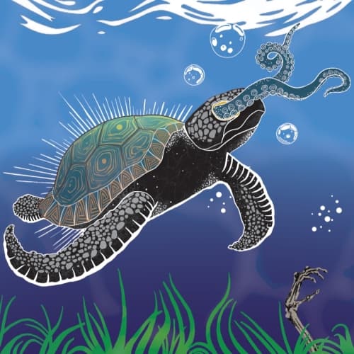 Tortuga