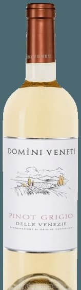Domini Veneti Pinot Grigio DOC 2023