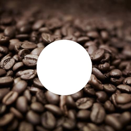 Café Não Costuma Falhar