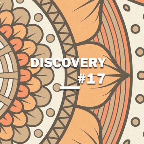 Discovery #17 Brut IPA