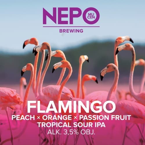 Flamingo