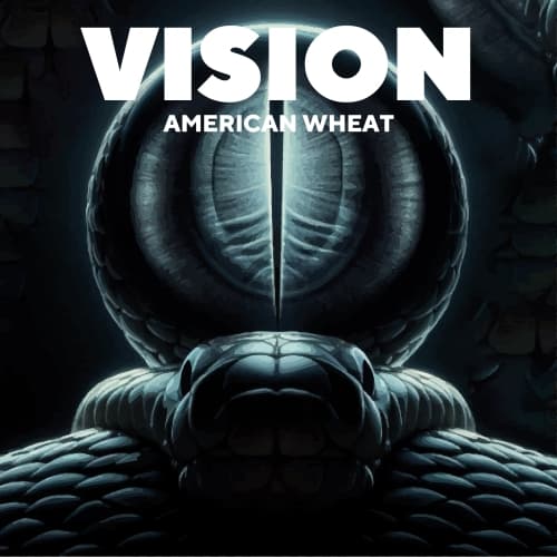VISION