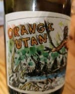 Orange Utan