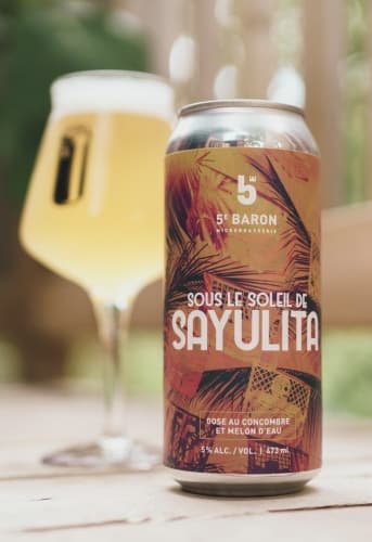 Sous Le Soleil De Sayulita