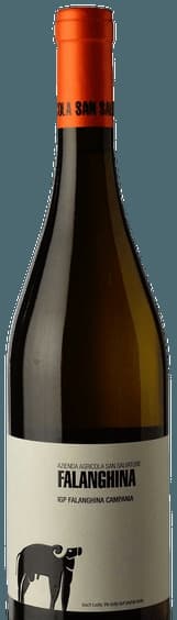 Falanghina Campania