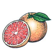 BON V!V Grapefruit