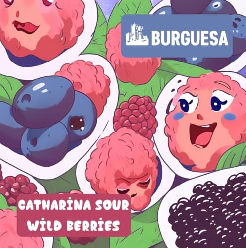 Catharina Sour Wild Berries