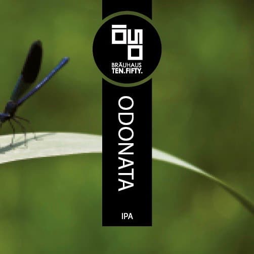 ODONATA