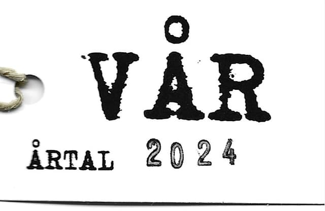 Vår 2024