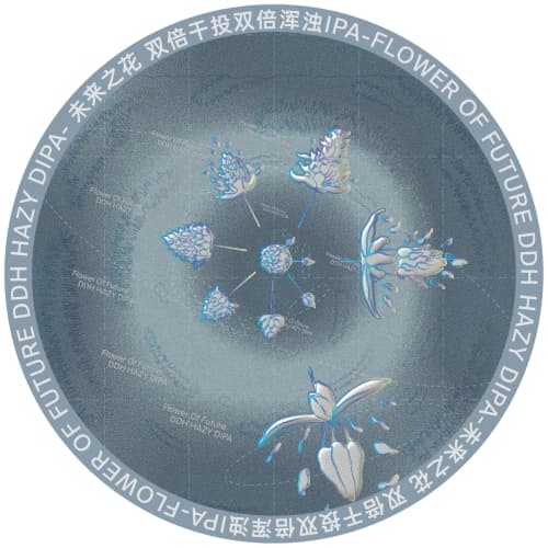Flower of Future DDH Hazy DIPA未来之花双倍干投双倍浑浊IPA