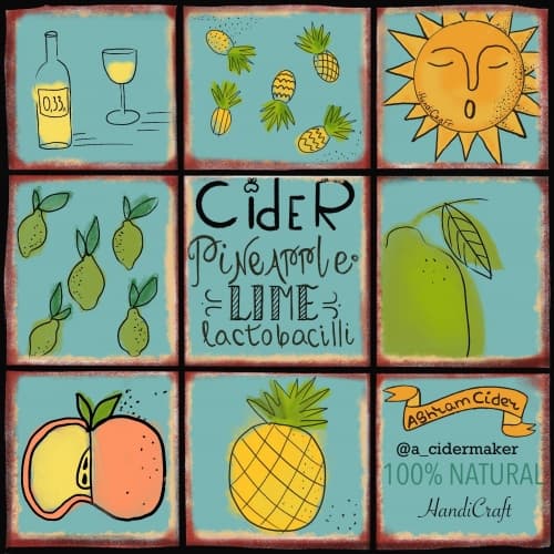 Pineapple & Lime Lactobacilli Cider