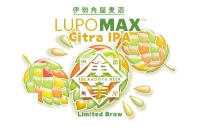 LUPO MAX Citra IPA